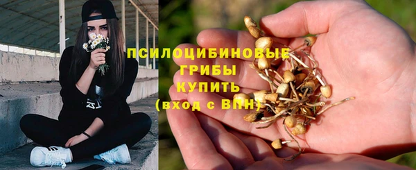 круглые Богородск